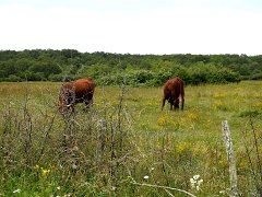 2018-06-16-Vierzon (111)